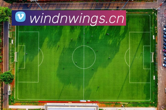 爱游ayx官网入口平台生态图