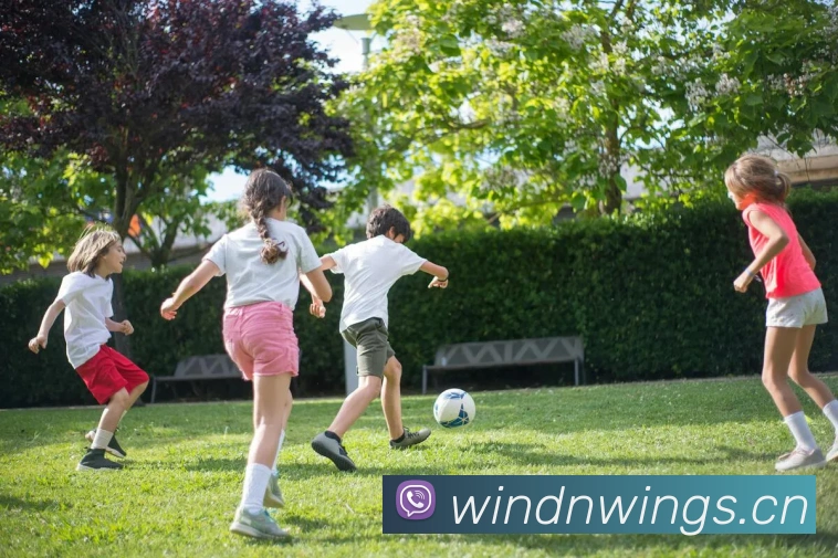 辅助工具 辅助工具